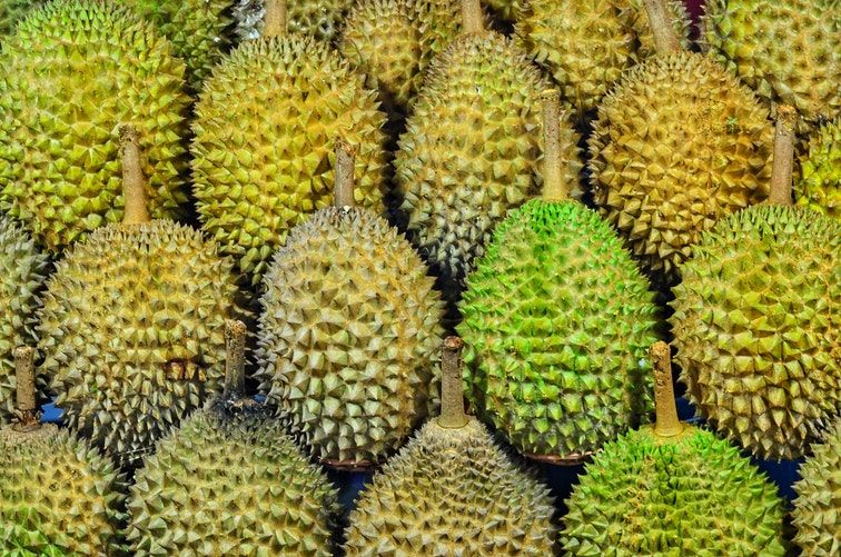 msw durian
